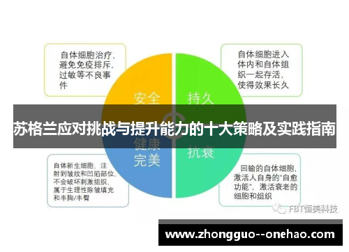 苏格兰应对挑战与提升能力的十大策略及实践指南