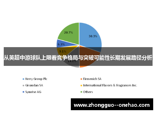 从英超中游球队上限看竞争格局与突破可能性长期发展路径分析