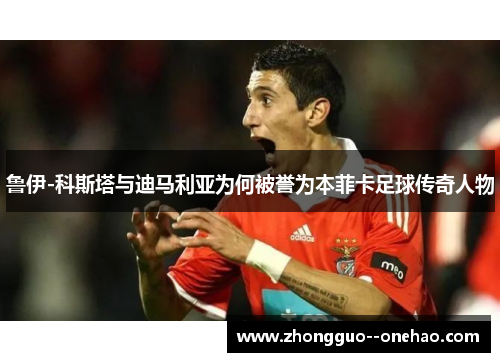鲁伊-科斯塔与迪马利亚为何被誉为本菲卡足球传奇人物